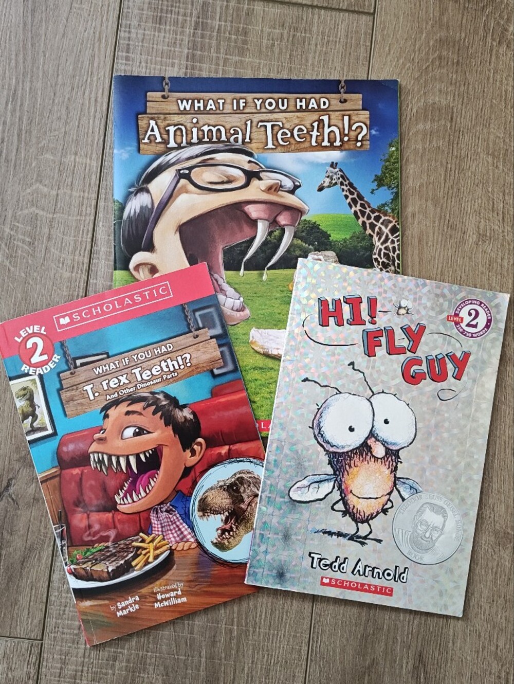 Hi! Fly Guy & What If You Had... Teeth? Kids Book Level 2 Reader Bundle
